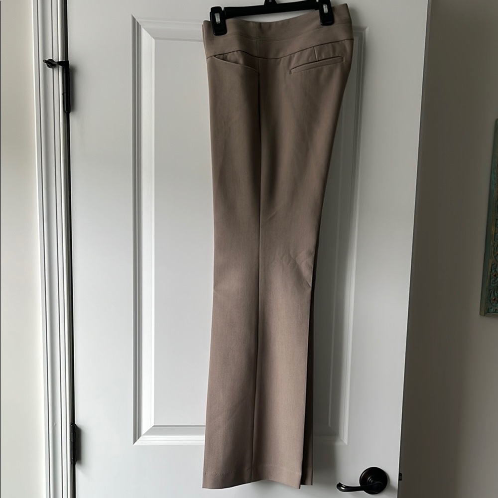 Women’s Tan Express Editor Dress Pants